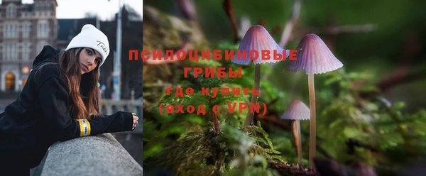 винт Надым
