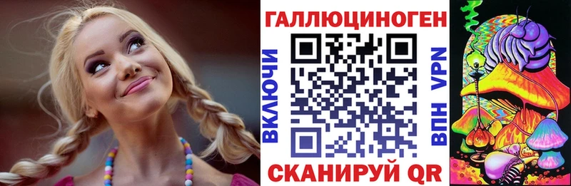 Псилоцибиновые грибы Psilocybe  Каргат 